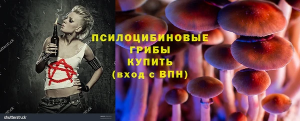 крисы Михайлов