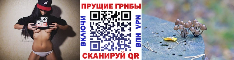 Галлюциногенные грибы Magic Shrooms  цена   кракен вход  Светлый 